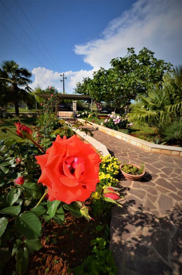 Apartments Sv. Pelegrin Umag Ngoại thất bức ảnh